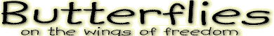 wingsoffreedom.bmp (36310 bytes)